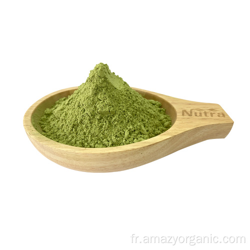 Grade de boisson Natural Instant Kiwi Juice Powder